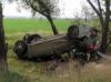 Новости: В дерево на полной скорости (фото)
