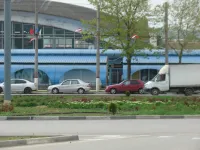 В Керчи завершается озеленение транспортного кольца на автовокзале