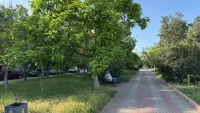 Газоны на набережной Керчи заросли травой
