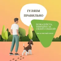 Новости » Общество: Керчанам напоминают о местах, где можно выгуливать собак