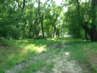 Новости » Общество: Дорога по улице Энгельса в Керчи давно требует внимания
