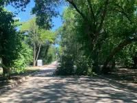 На Суворова в Керчи опять рухнуло дерево