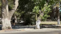 Новости » Общество: На тротуарах в Аршинцево до сих пор нет асфальта
