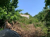 Новости » Общество: СГХ Керчи освободила двор частного дома от сваленных и спиленных веток