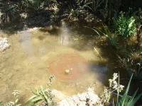 У дома №1 по улице Херсонской в Керчи месяц стоит вода