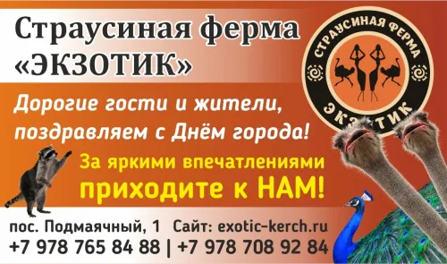 Бизнес новости: Страусиная ферма Экзотик желает Керчи процветания и счастья в Дню города!