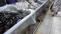 Новости » Общество: В рыбном корпусе на центральном рынке в Керчи сегодня было так