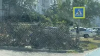 Новости » Общество: Вместо ларька - мусор и ветки: в Керчи оставили разруху на месте незаконной торговли