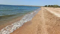 Новости » Общество: Медузы отступили от берегов и Новоотрадного, и Керчи