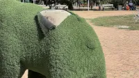 Красивое место - без должного ухода: что происходит в парке Гагарина?