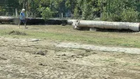 Грязь вместо тротуара: керчане жалуются на ремонтные работы на улице Ворошилова
