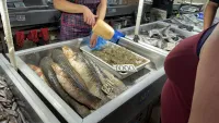 В рыбном корпусе на центральном рынке в Керчи сегодня было так