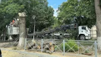 Новости » Общество: Опасность над головой: в Керчи спилили дерево у оживлённой остановки
