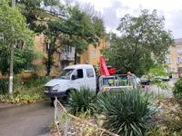 Сегодня с 5 часов утра керченский РЭС устраняет аварии на своих сетях