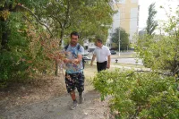 Новости » Общество: Очистка межквартальных зон в Керчи находится под контролем
