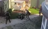 Три крымчанина инсценировали ДТП, чтобы получить страховку
