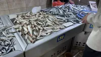 Новости » Общество: В рыбном корпусе на центральном рынке в Керчи сегодня было так