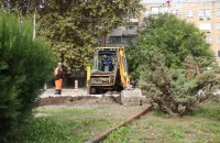 На автомобильном кольце по ул. Горького появится капельное орошение
