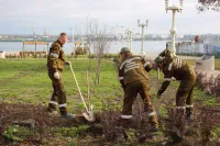 В керченском сквере "Монетка" завершают монтаж системы автоматического полива