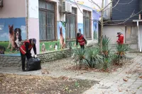 Новости » Общество: Коммунальщики в Керчи ежедневно борются с листвой