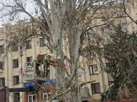 У Школы искусств им. Р.Сердюка в Керчи кронировали высокие деревья