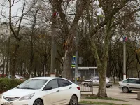 Надломленный сук дерева у МФЦ в Керчи не могут убрать третий день