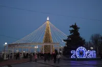 Новости » Общество: На главной ёлке Керчи зажгли огни