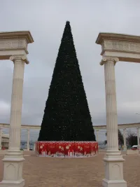 Новости » Общество: Каркас новогодней елки в центре Керчи одели в хвойный наряд