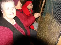 Новости » Общество: У группы волонтеров общества "Хутор Верный" растет число участников