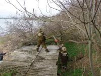 Новости » Общество: В Керчи сегодня вели спил деревьев над зоной отдыха Сморжевского