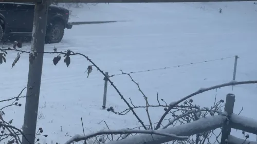 Снег продолжает идти: обстановка на дорогах Керчи