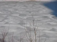 Новости » Общество: На внутренних водоемах в Керчи образовался тонкий лед