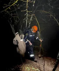 Новости » Криминал и ЧП: В горах Крыма на выходных заблудилась пара с 10-летним ребенком