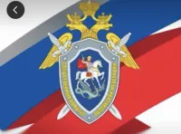 Новости » Криминал и ЧП: Керченский предприниматель ответит за массовое отравление людей едой из доставки