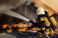 Новости » Криминал и ЧП: За новогодние праздники в Крыму произошло более 50 пожаров