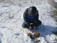 Новости » Общество: Под Керчью обезвредили две авиабомбы и снаряд