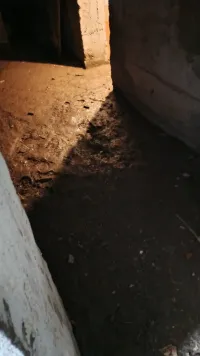 В подвале керченского дома по Айвазовского, 17 постоянно скапливается вода и нечистоты