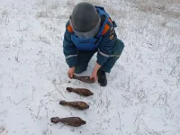 В ГО Керчь и Ленинском районе уничтожили 16 взрывоопасных предметов времен ВОВ