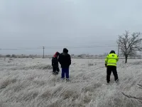 Новости » Общество: Накануне керченские энергетики экстренно устранили порыв высоковольтной линии в районе Капканы