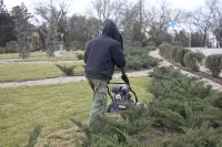 Новости » Общество: Зеленхоз Керчи приступил к весенним работам на клумбах транспортных колец города