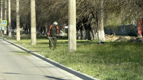 Покос травы в Керчи продолжается