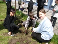 Новости » Общество: Школа №17 Керчи готовится к смотру-конкурсу  «Лучший двор образовательной организации-2026»