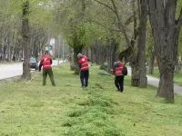 В Керчи на Казакова коммунальщики очищают газоны от скошенной травы