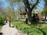 Вдоль улицы Суворова в Керчи убирают спиленные ветки