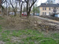 У дома по Войкова, 20 в Керчи произведен спил аварийных веток высоких деревьев