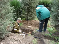 Новости » Общество: На Гагаринском кольце в Керчи продолжается монтаж автоматической системы полива