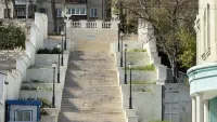 Новости » Общество: Малая Митридатская лестница в Керчи заросла травой
