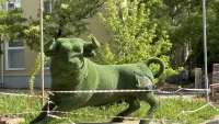 Новости » Общество: Фигуру быка в Керчи так и не могут отремонтировать