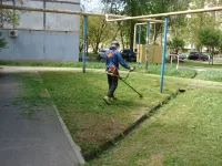 Новости » Общество: В Керчи продолжается ежедневный покос травы