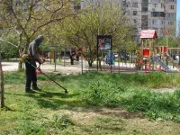 Новости » Общество: В Керчи продолжается покос травы